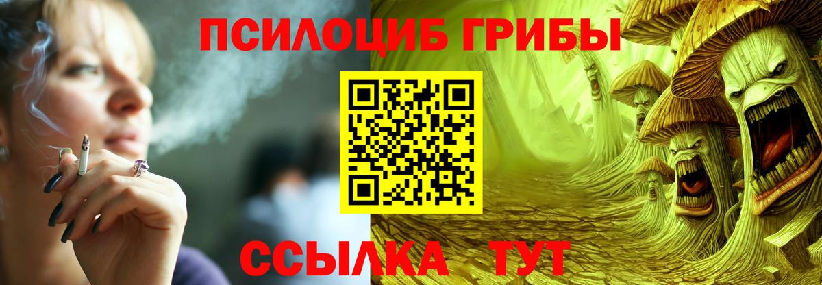 Саранск  наркота  Вход с VPN  Галлюциногенные грибы мицелий  Галлюциногенные грибы Psilocybine cubensis 