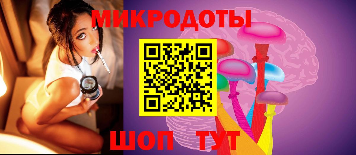 Псилоцибиновые грибы Psilocybine cubensis Саранск